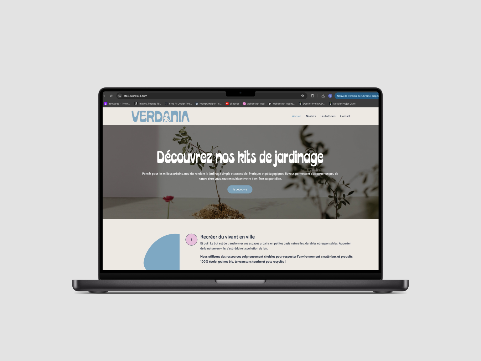 mockup desktop verdania 1