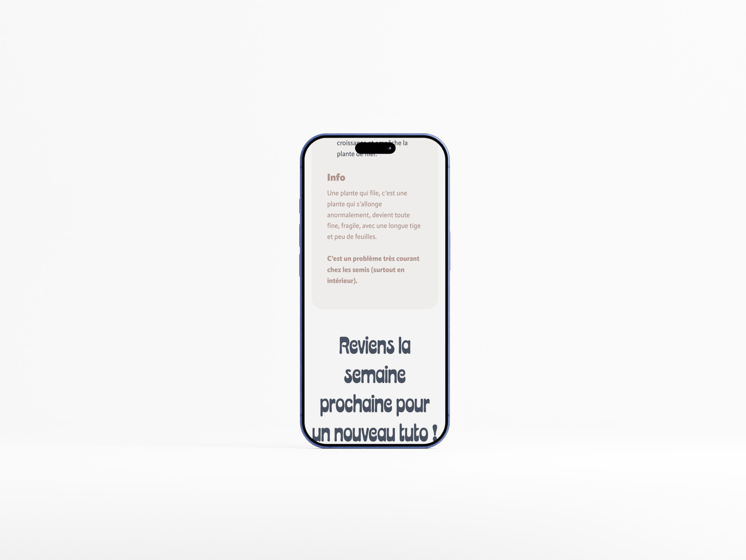 mockup mobile verdania 4